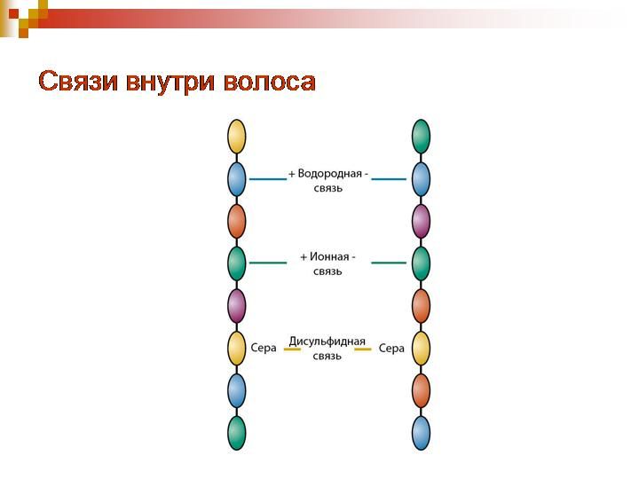 Какими тремя видами связей соединены кератиновые цепочки в волосе