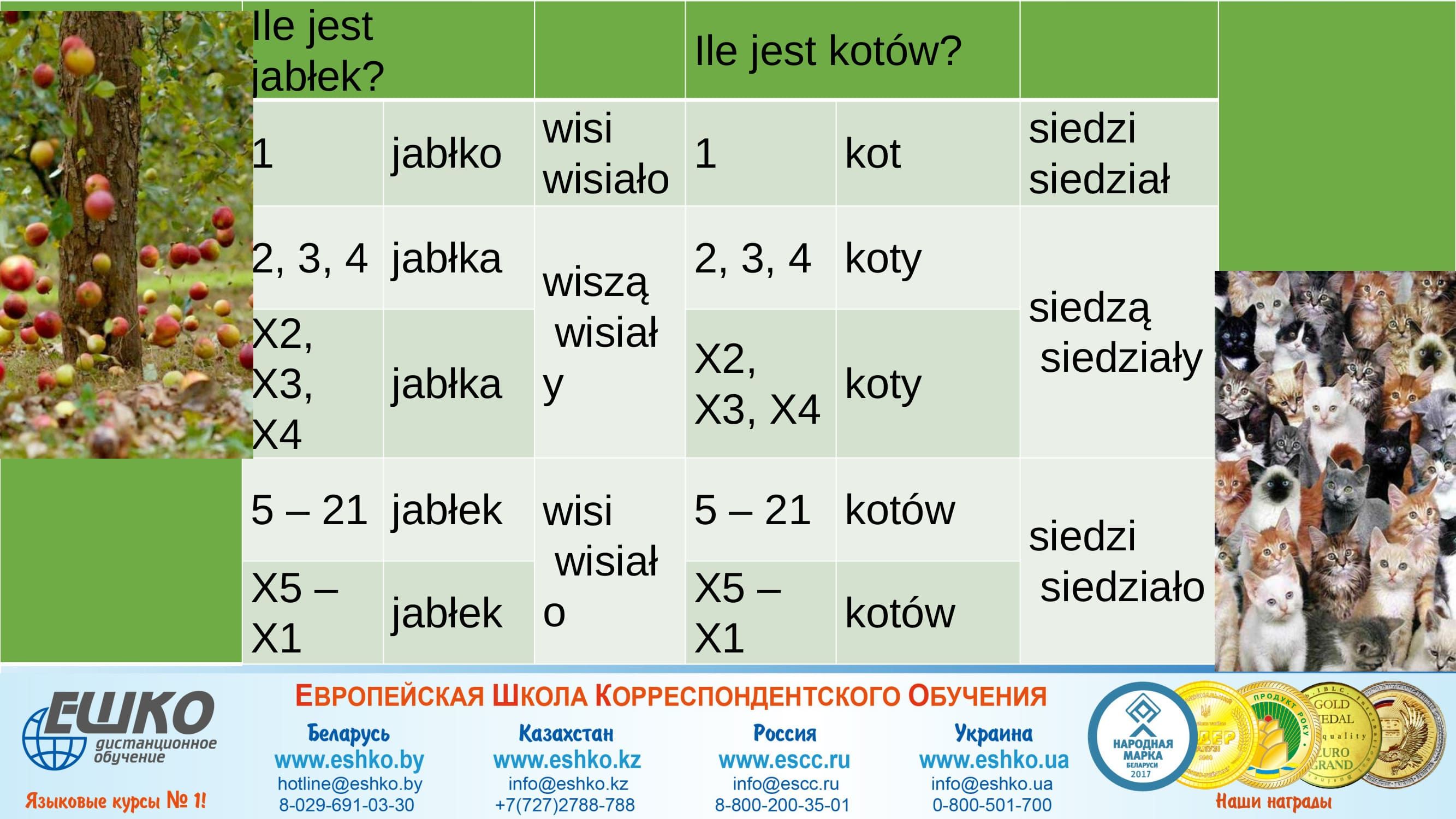 Liczebnik też się liczy – С числительным нужно считаться!