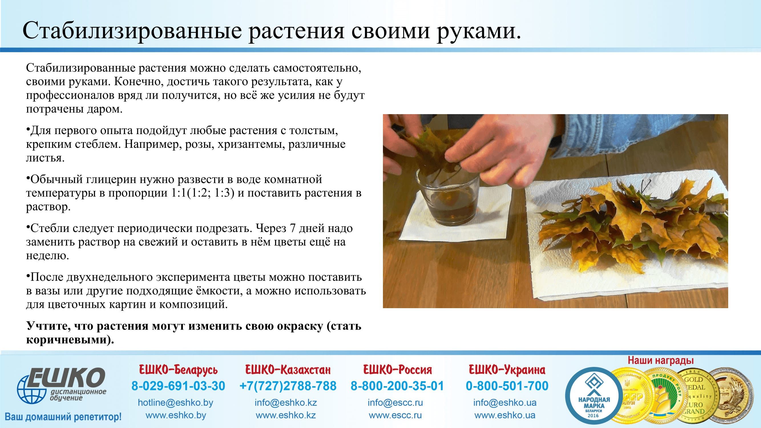 Изготовление рождественского венка со стабилизированным материалом и декоративными элементами