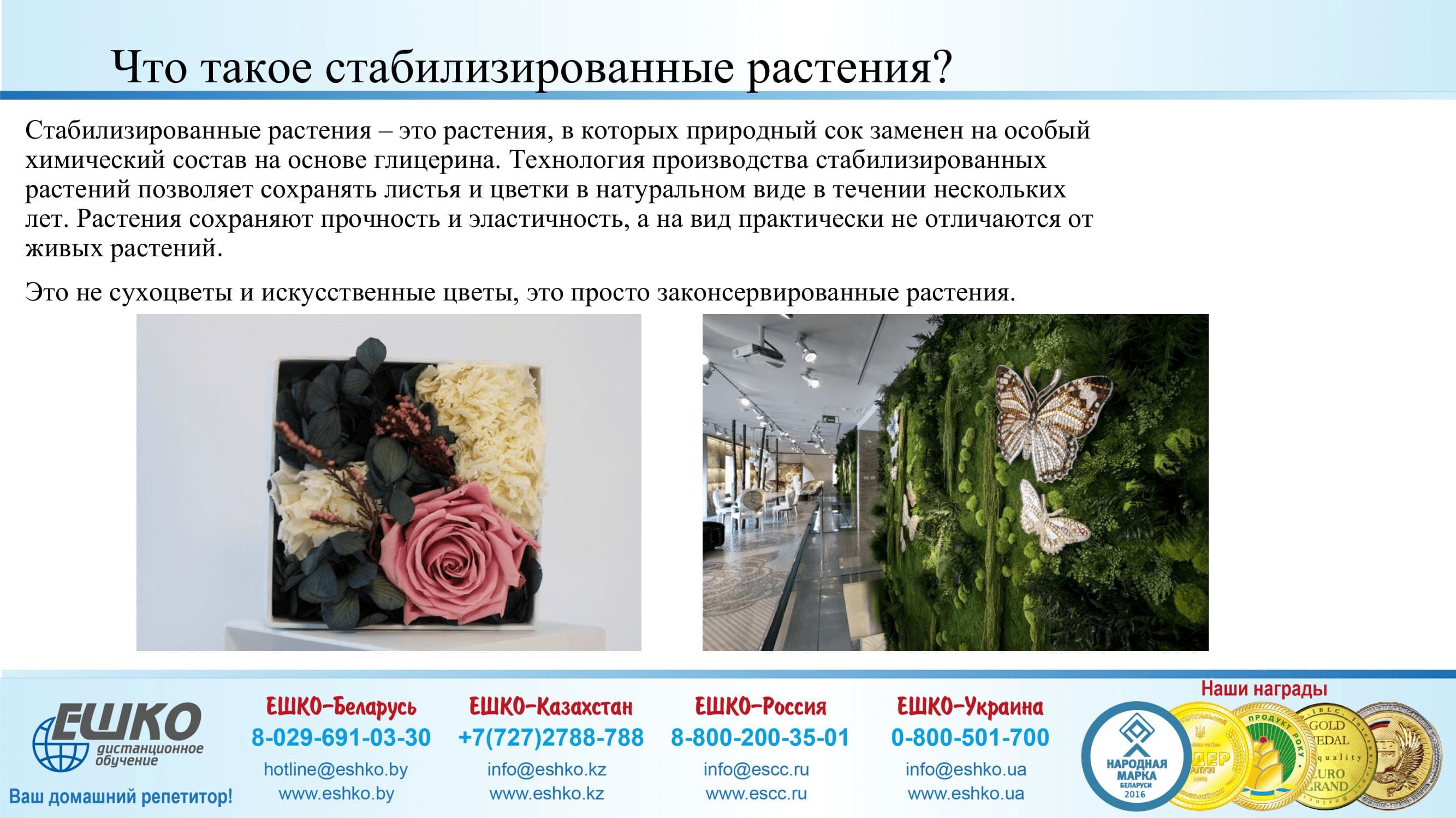 Изготовление рождественского венка со стабилизированным материалом и декоративными элементами