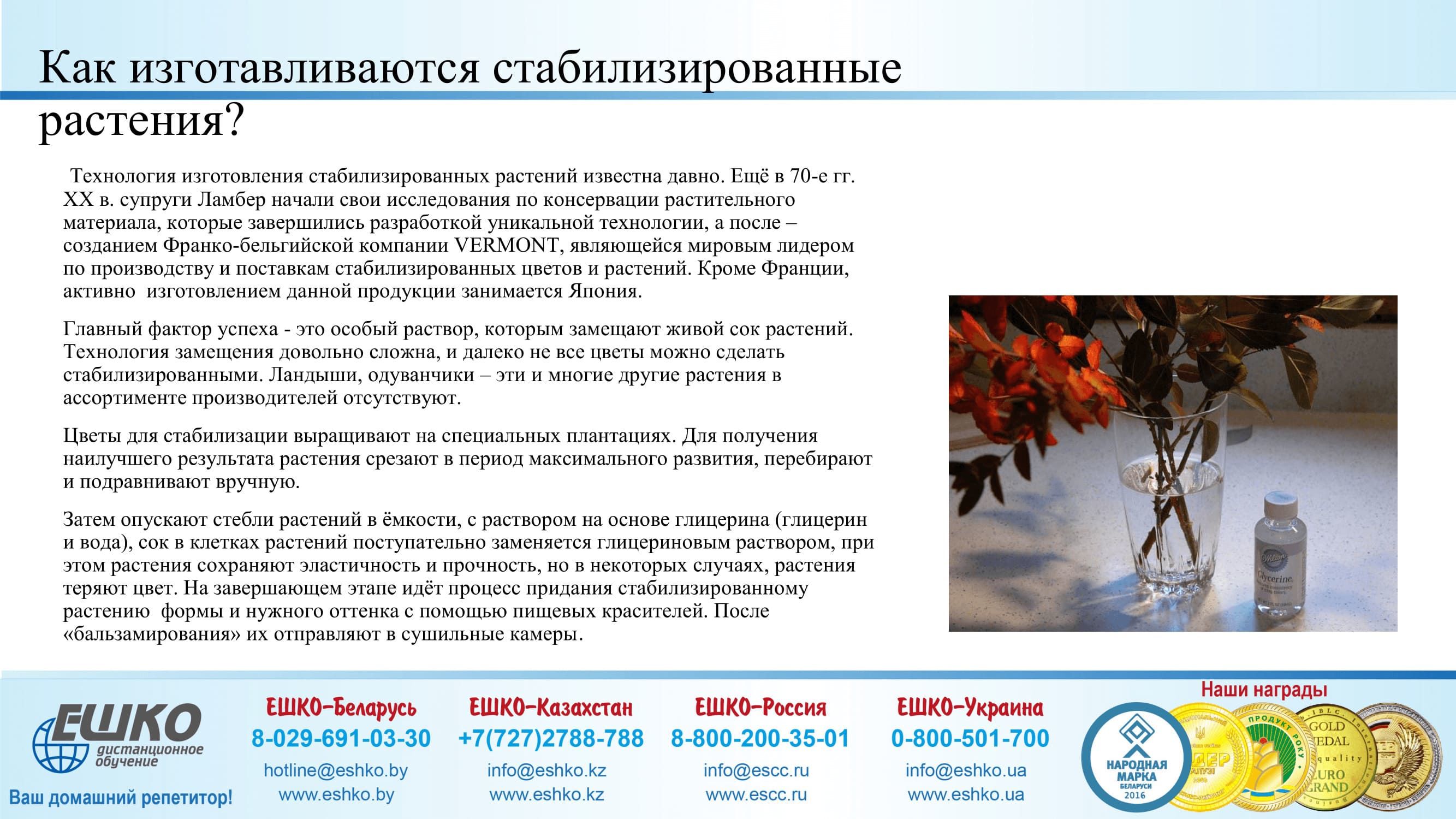 Изготовление рождественского венка со стабилизированным материалом и декоративными элементами
