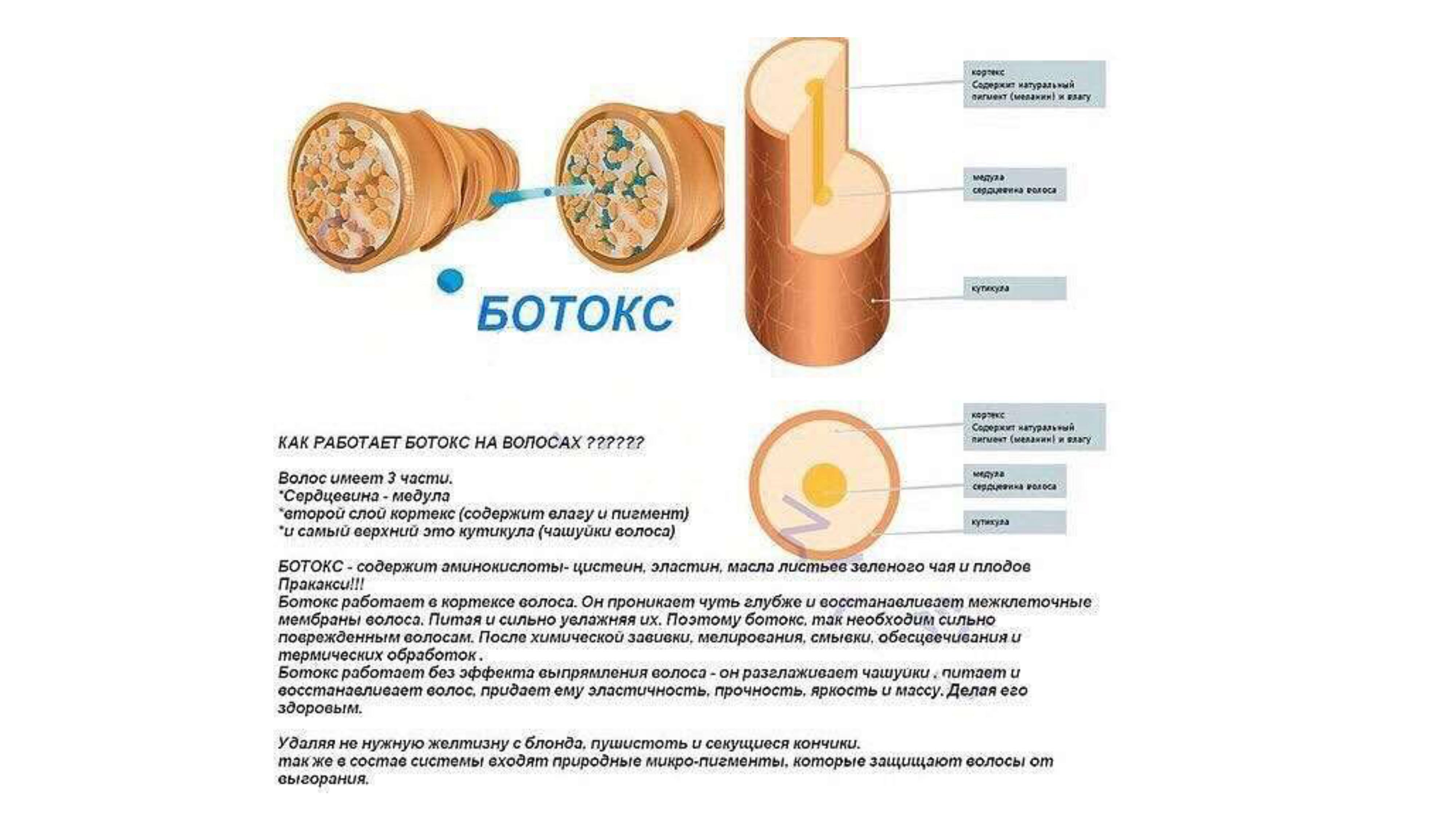 Тритментология. Красивые и здоровые волосы