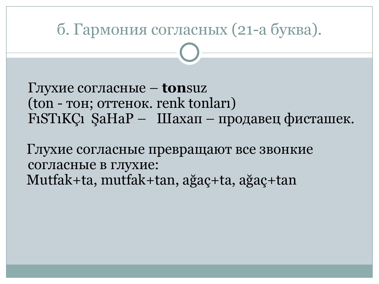 Турецкий для начинающих: Указательные местоимения и виды вопросительных предложений