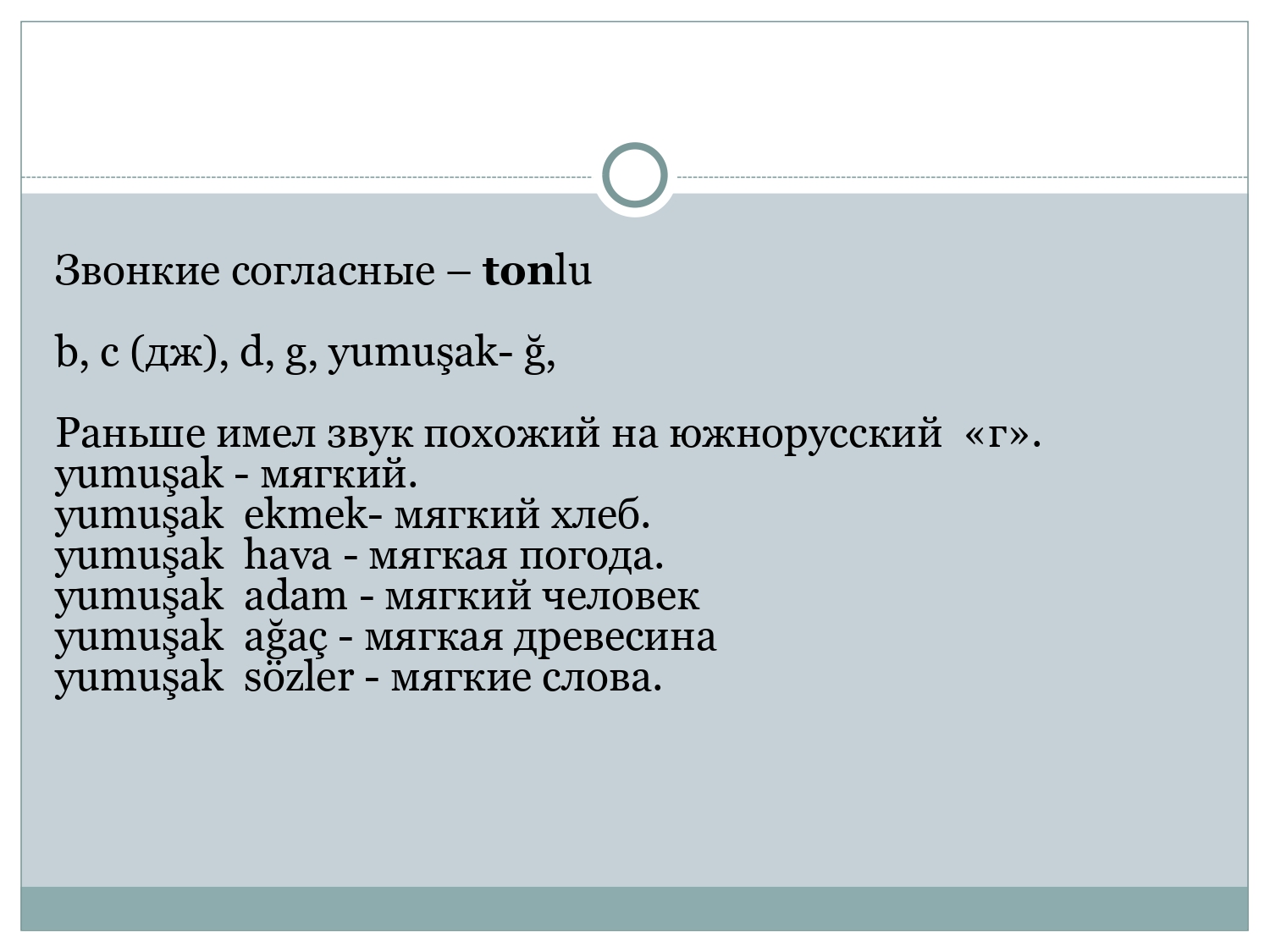 Турецкий для начинающих: Указательные местоимения и виды вопросительных предложений