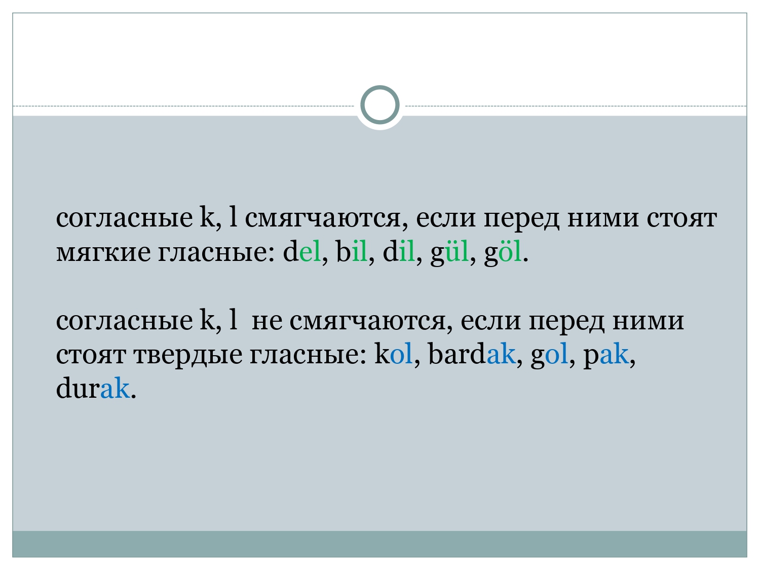 Турецкий для начинающих: Указательные местоимения и виды вопросительных предложений