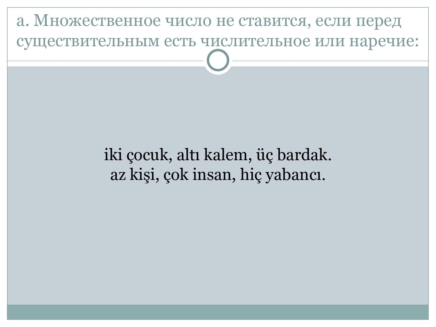 Турецкий для начинающих: Указательные местоимения и виды вопросительных предложений