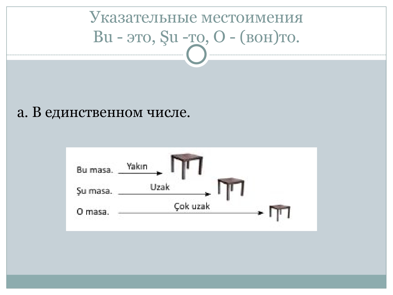 Турецкий для начинающих: Указательные местоимения и виды вопросительных предложений