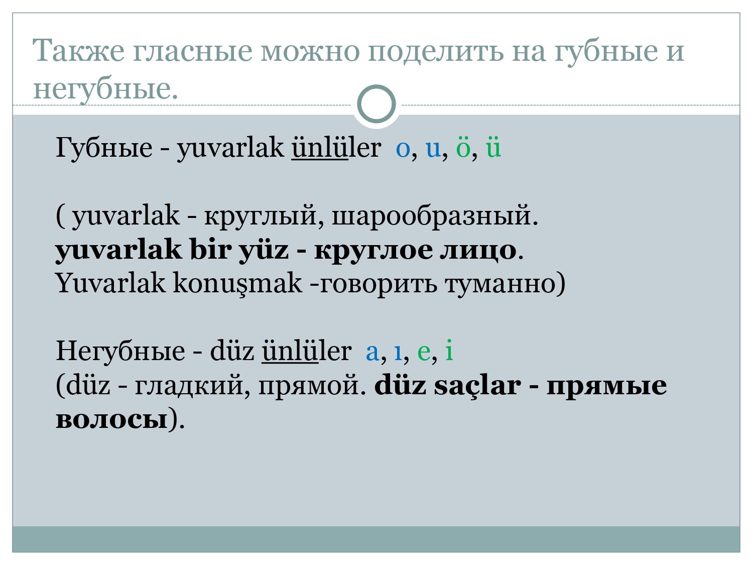 Турецкий для начинающих: Указательные местоимения и виды вопросительных предложений